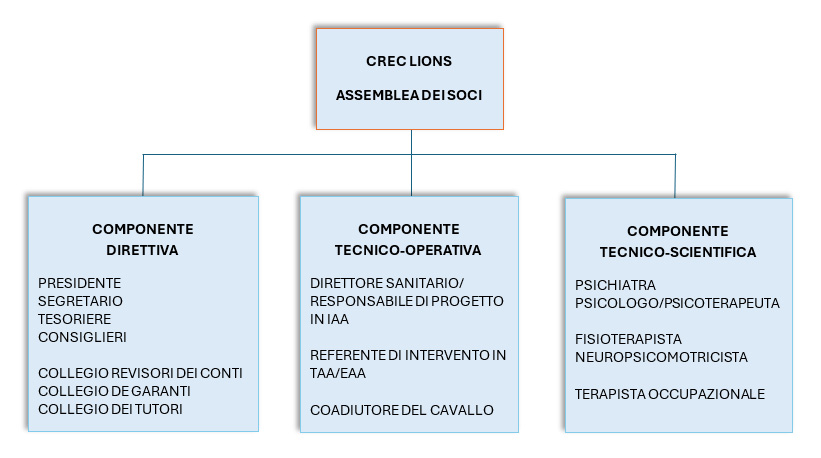 organigramma24